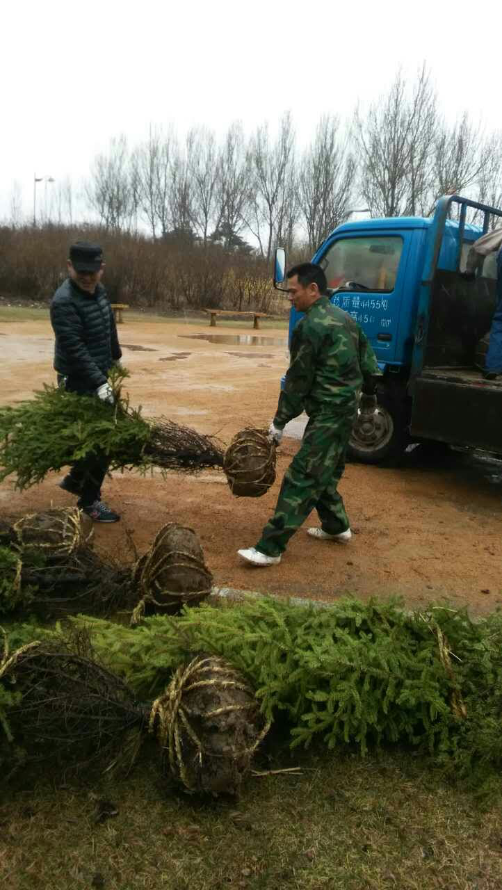 1603765162652605.png 5.png