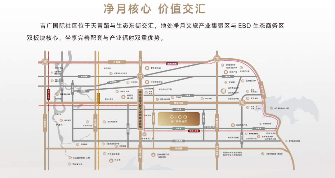 1765847020452000.png 10008.png